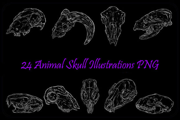 Download White Line Art Animal Skull Halloween - Line art animal Collection