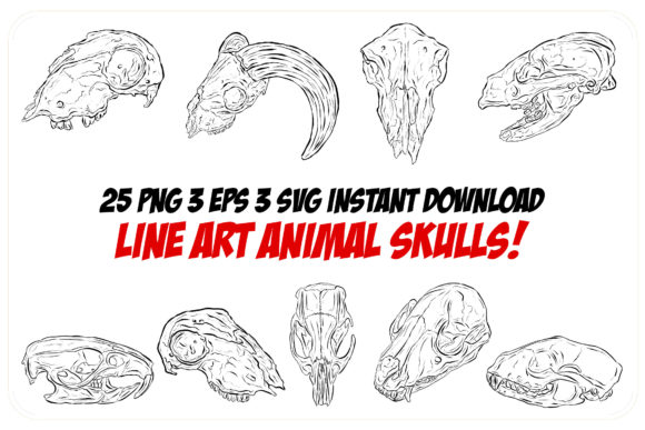 Download Line Art Animal Ram Sheep Skulls Horns - Premium Resources